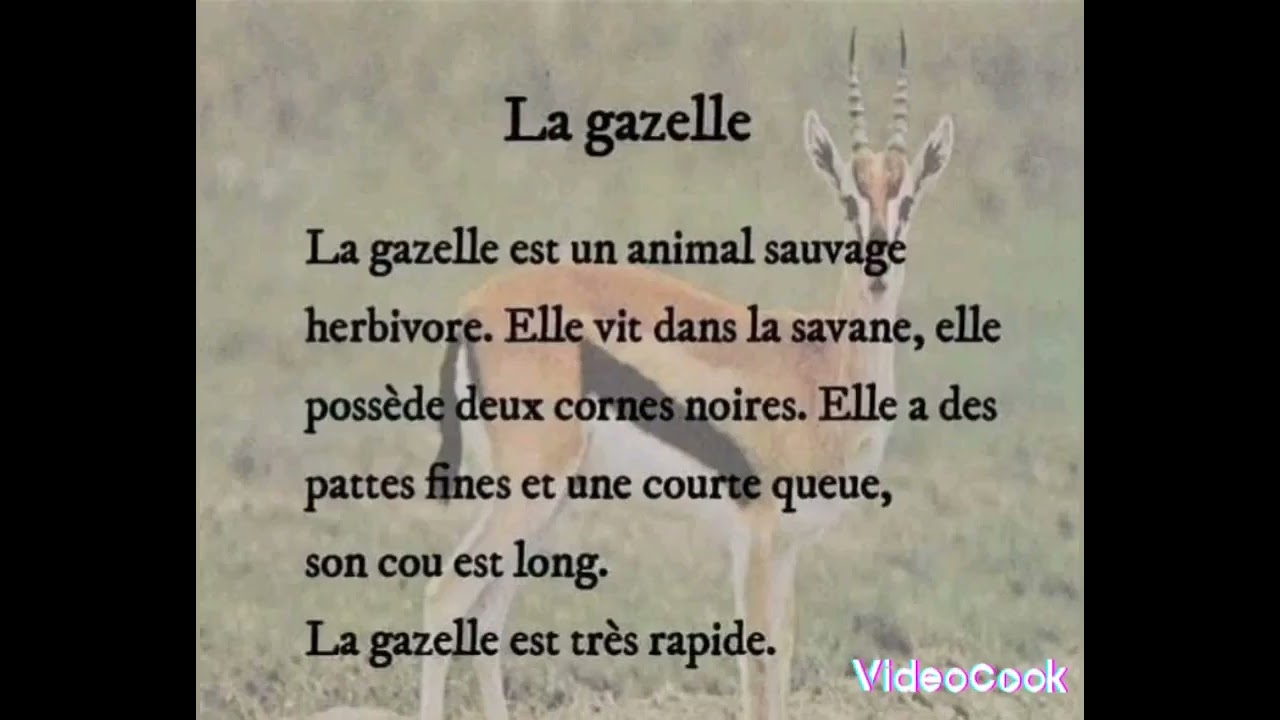 Production écrite 5ap les animaux