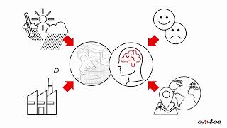 Download Lagu Inside emtec electronic: 30 Years of Innovation in testing solutions MP3