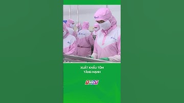 Xuất khẩu tôm tăng mạnh #nongnghiepmientay