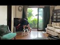 Maid ng Japan 🇯🇵 partida 8am pako dto ha ! (Hindi ako HIMANG tao)!