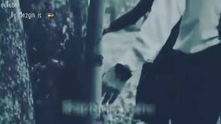 Te Ez Histim Ie Vîra