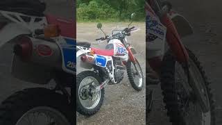 1991 HONDA XR250L