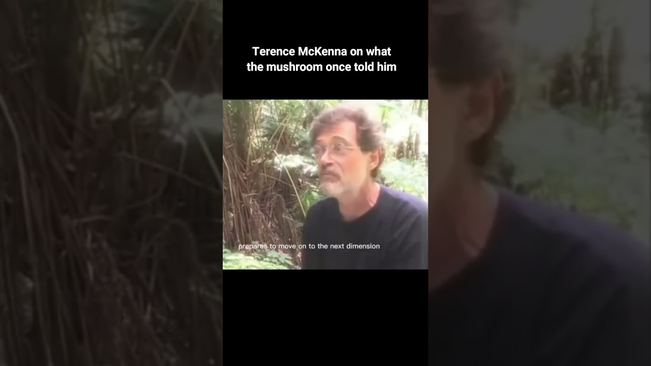 Terence McKenna on what the mushroom told him