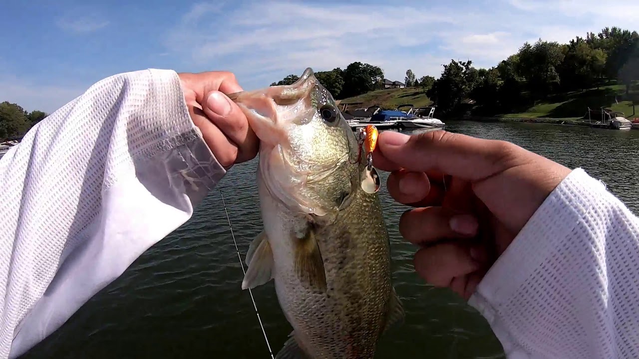 LunkerHunt MAGIC Bean