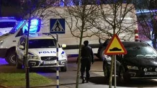 Famous Immigration debate grips Sweden Profile