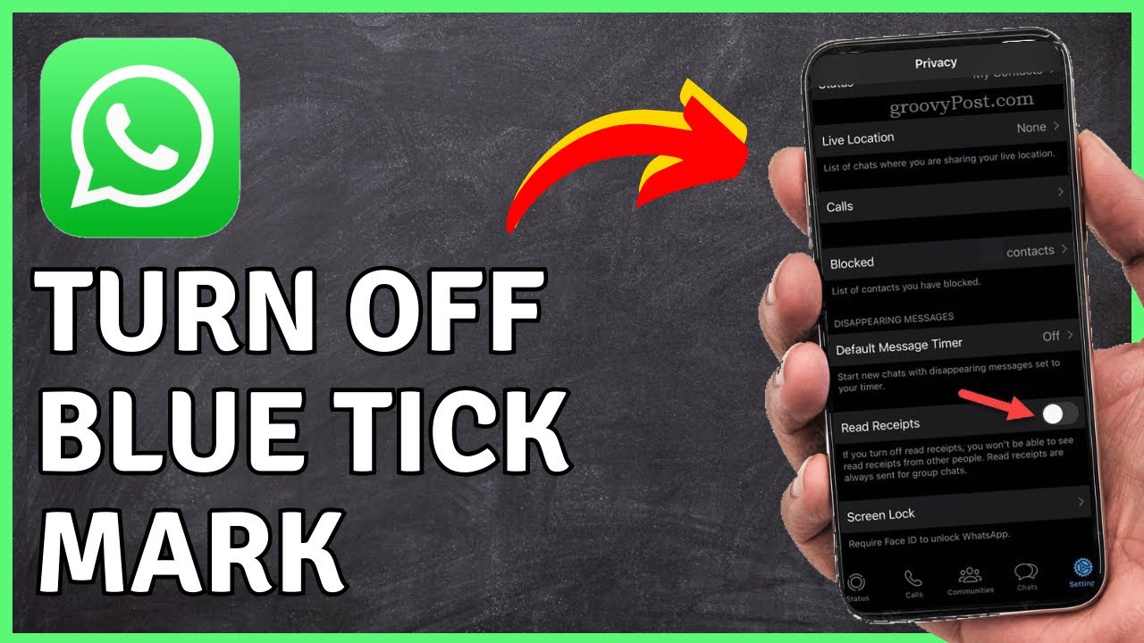How to Turn Off Blue Tick on WhatsApp on iPhone [Disable Read Receipts] | WhatsApp Tutorial