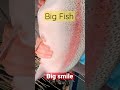 Big Fish - trout and perch fishing