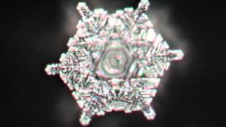 Masaru Emoto   Water Crystal moving image of The Blue Danube by Trantek 15,380 views 9 years ago 3 minutes, 17 seconds