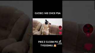 Stary z psem po tygodniu