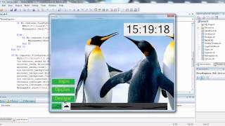Programa "Sistema Operacional" Visual Basic 2008 Express