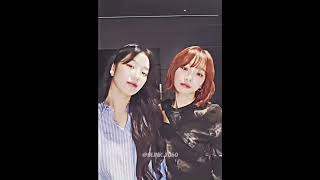 #르세라핌 #카즈하와 #채원이 #APT 댄스 챌린지에 도전했습니다. #로제에 의해!  #아파트 #댄스 #da…