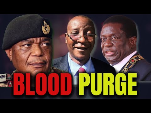 Breakingnews Mnangagwa FIGHTS BACK Against Chiwenga For Tagwirei Chivhayo Co Your Take 