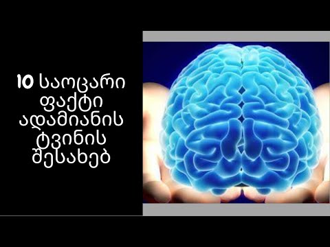 10 საოცარი ფაქტი ადამიანის ტვინის შესახებ|GKF|Kartuli|Georgia|Videos