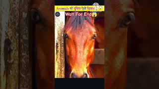 Wait For End 😱 #shorts #viral #animals #facts #shortsviral #funny #comedy
