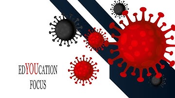 EUvsVirus Hackathon 2020 ExamHack - Normal Speed Version