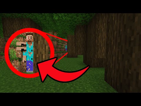 Minecraft CREEPYPASTA: That Thing