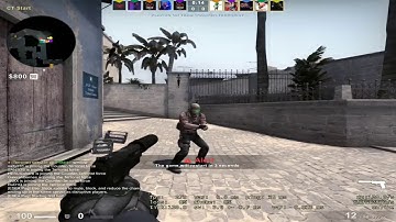 Famous ESEA bug