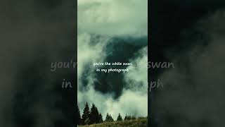 Flash  Cigarettes After Sex s