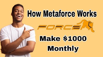 Full Explanation On How Metaforce Works