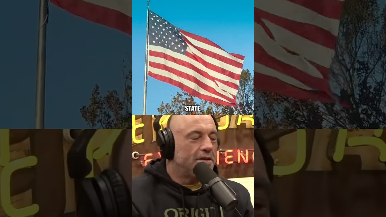 Joe Rogan Reacts to Bears 🐻