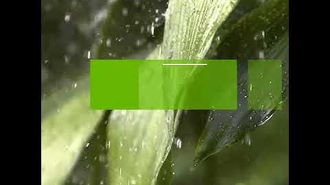 Discover Sustainability: An Introduction to Our Video Series