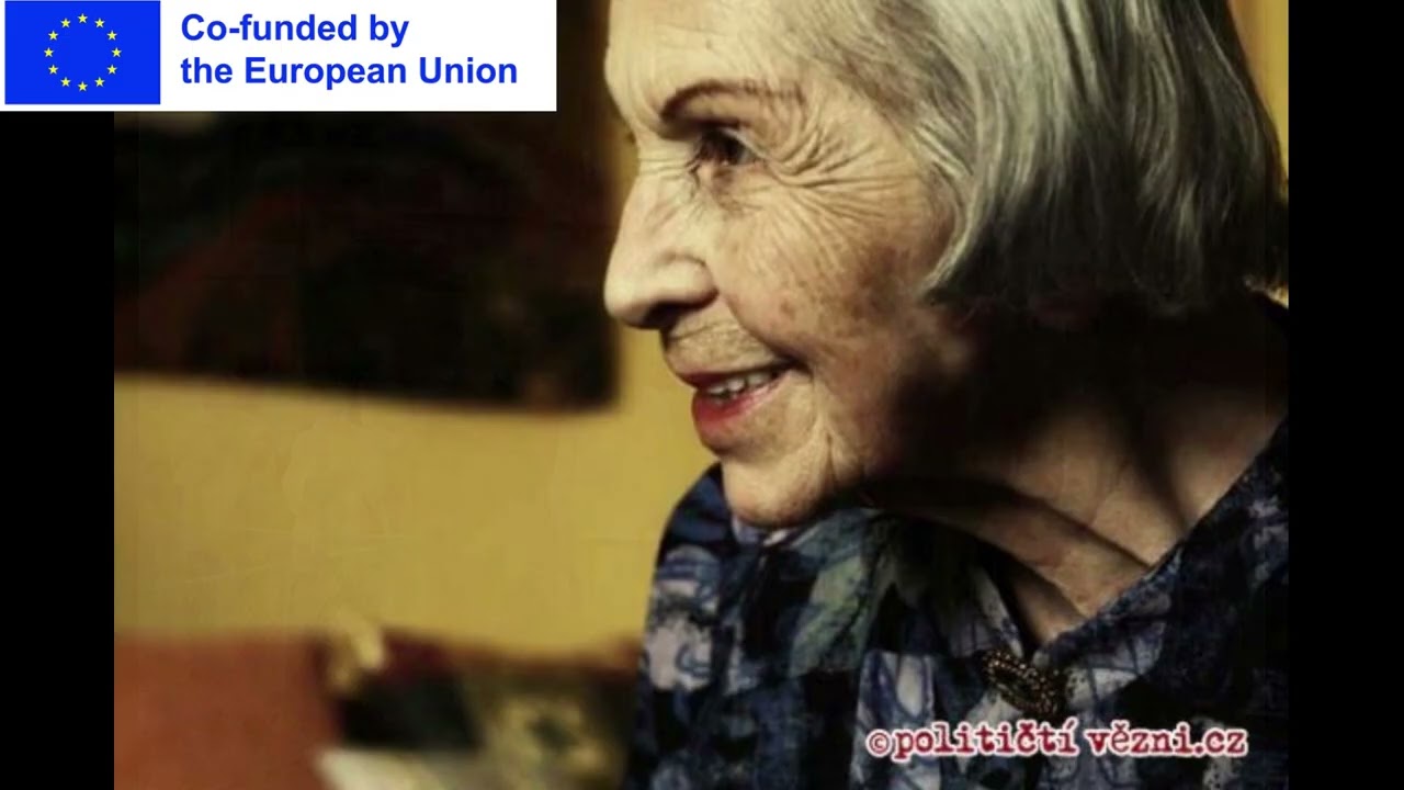 Interview with politictivezni.cz - Human Rights and Democracy in the Age of Information Warfare