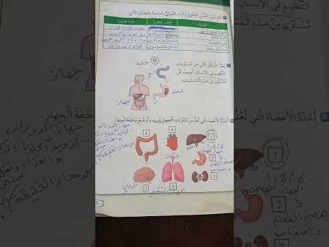 حل جميع اسئله مراجعة الوحدة الاولى من العلوم فصل اول صفحه    