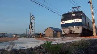 ef210-901牽引1059レ