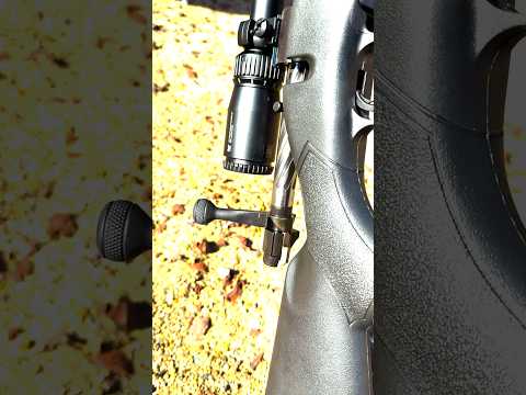 Mossberg + Vortex: The Ultimate Deer Rifle?