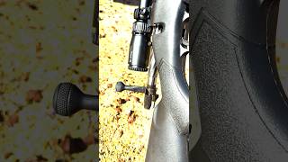 The Ultimate Deer Rifle?