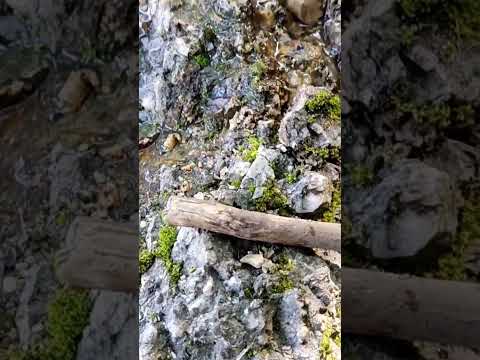 #рекомендации #природа #макет #music #movie #shorts #nature #красота #realistic #relaxing #reallife