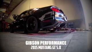 2015 Mustang Dyno