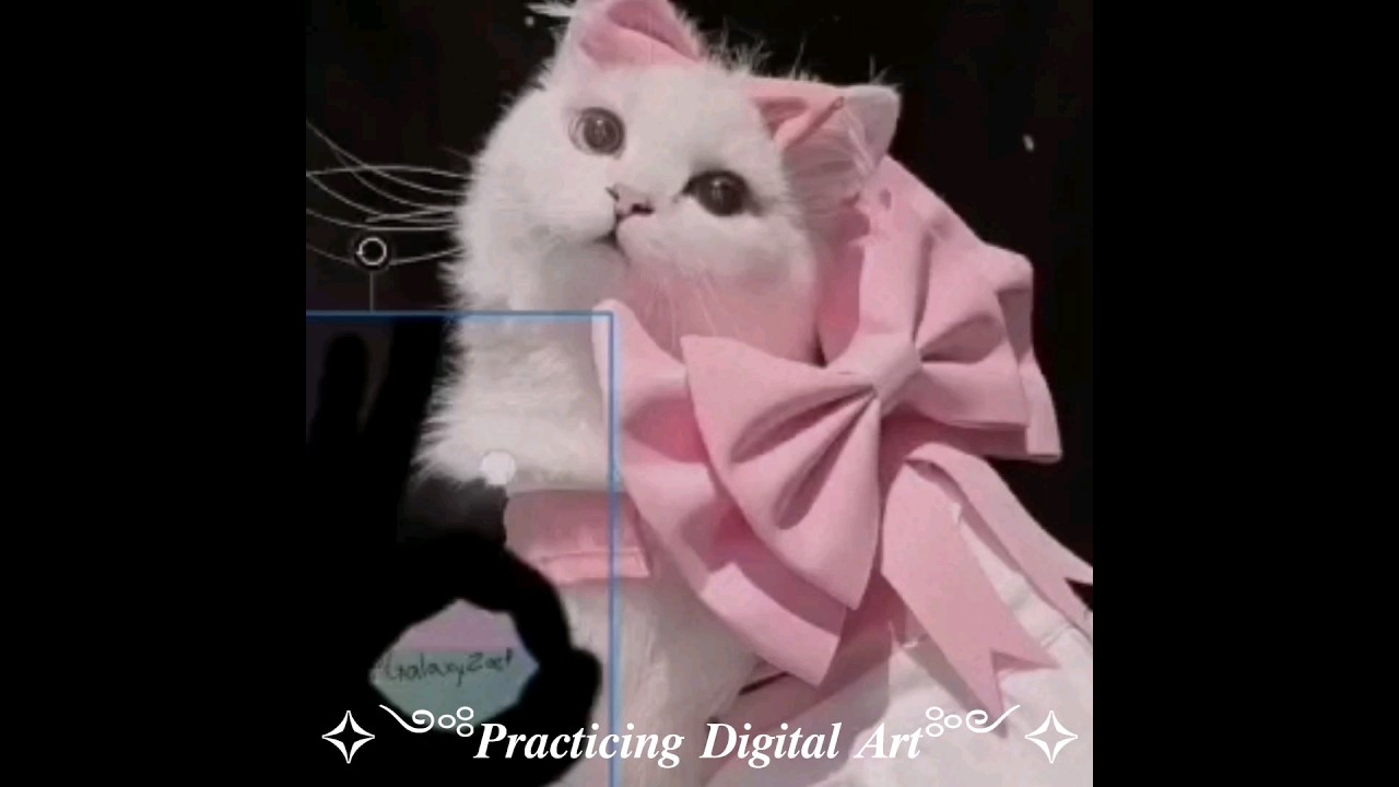 Practicing Digital Art 