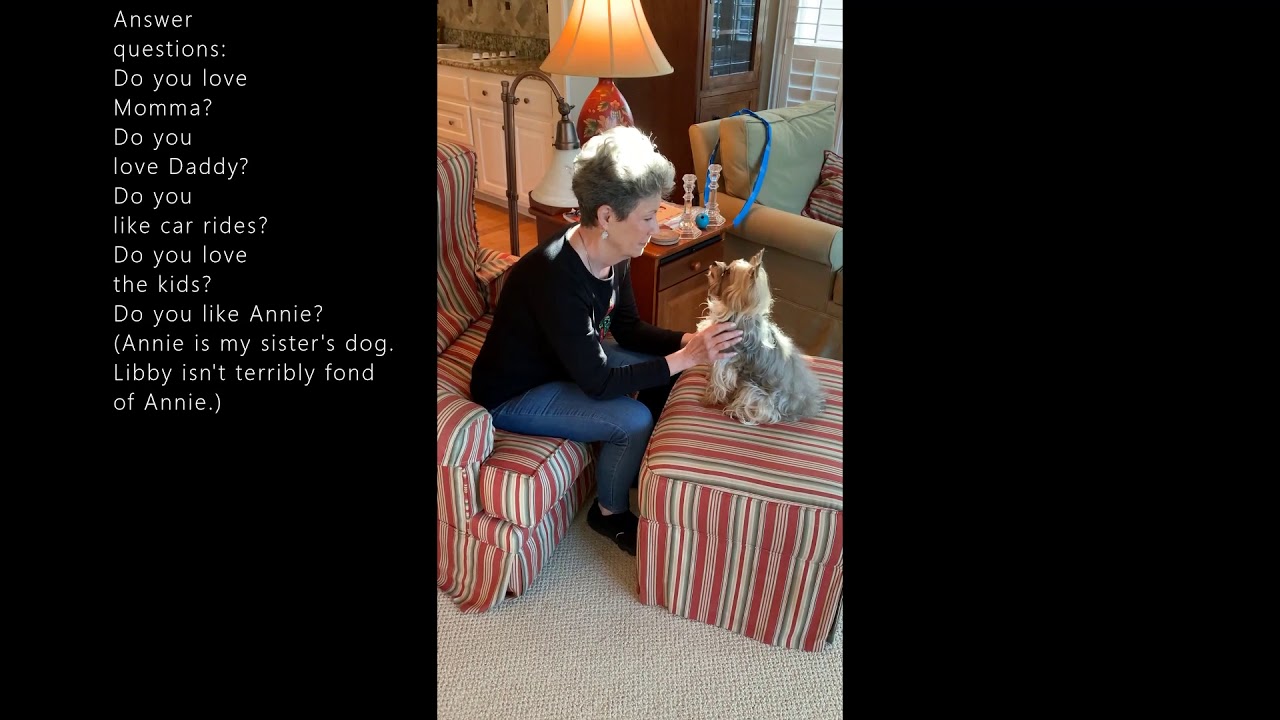 Libby Burns AKC Trick Dog Elite Performer YouTube libby-burns-akc-trick-dog-elite-performer-youtube