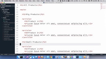 HTML sections & articles