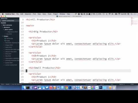 HTML sections & articles