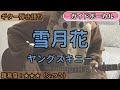 雪月花/ヤングスキニー/ギター弾き語り練習用動画(コード/ストローク/歌詞/歌)