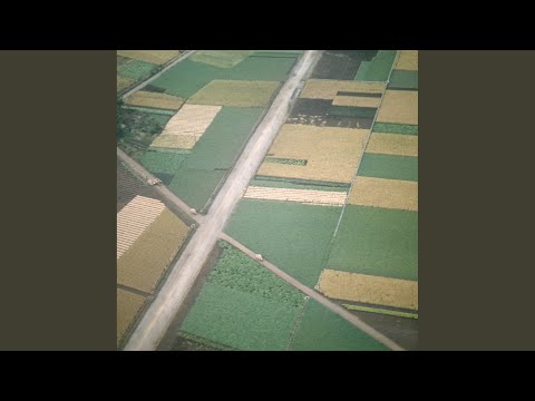 Celer — Ultra-Terrestrial Yearning (Remastered)