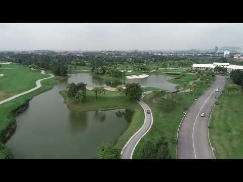 Timeless Golf - Zebra Putter