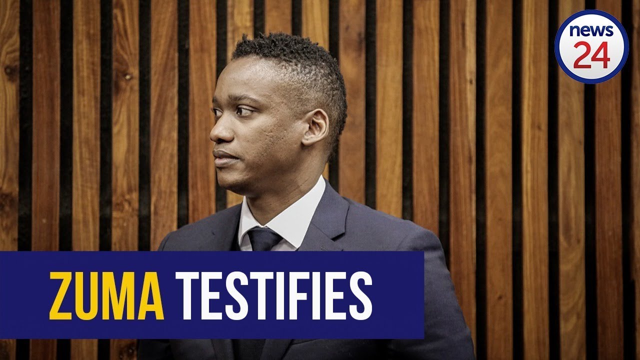 Duduzane Zuma Biography Age Wife Net Worth Profile