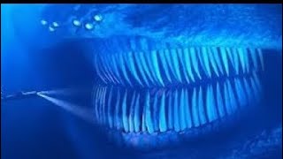 Terrifying Sea Creatures Caught On Camera Experts Can't Explain Terrifying Sea Creatures Caught On Camera Experts Can T Explain