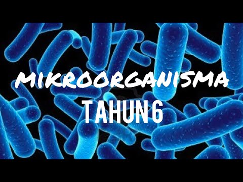 Lesson thumbnail