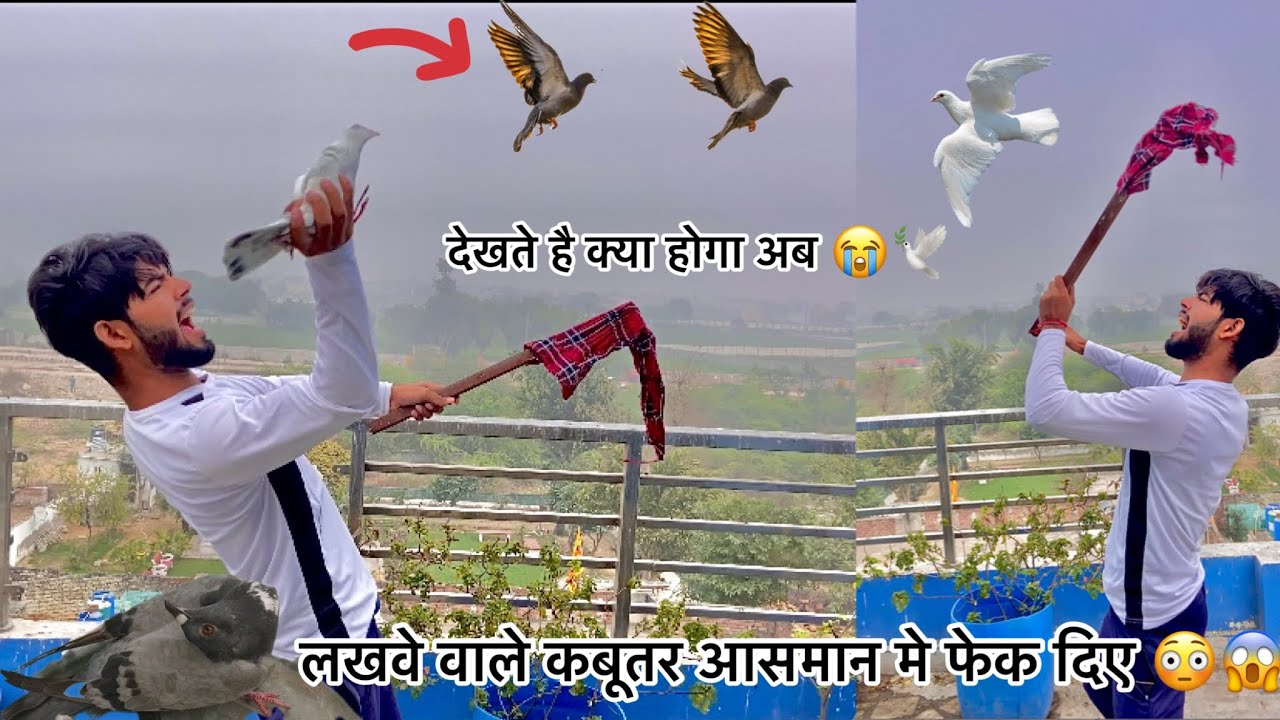 लखवे वाला कबूतर जबरदस्ती उड़ा दिया 😳 !! Neck twisting bimari wala kabutar uda diya 🥺 !! गोल घूमने