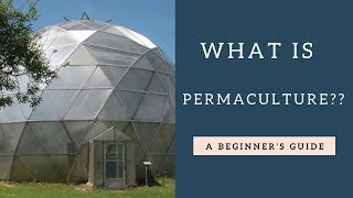 What Is Permaculture - A Beginners Guide