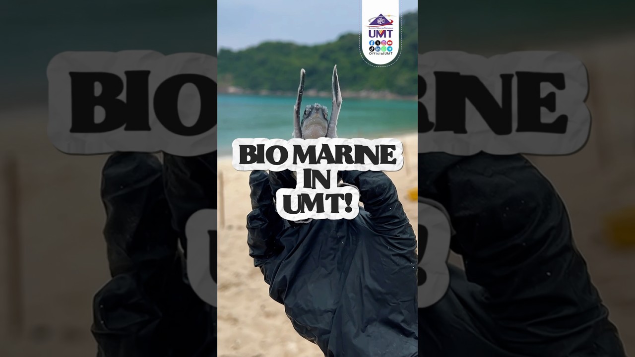 Jom jadi pelajar Biologi Marin di UMT dan rasai semua pengalaman ini!