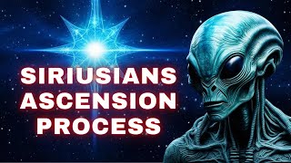 [Ascension Symptoms] The reason why Sirius aliens reincarnate on Earth