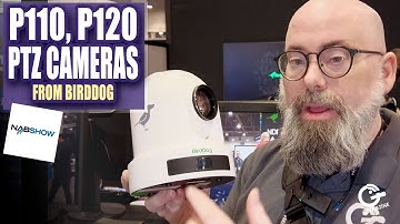 BirdDog P110 and P120 NDI PTZ Cameras