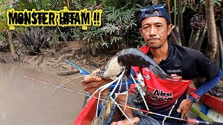 Finally caught! Meet the rusty old black monster giant river prawn – latest giant river prawn fis...