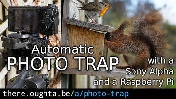 Squirrel photo trap with a Sony Alpha and a Raspberry Pi