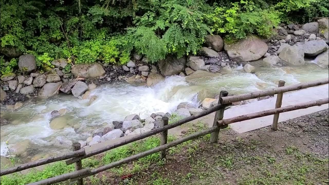 小黒川の渓流 YouTube